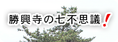 勝興寺の七不思議